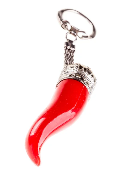 Keychain lucky charm — Stock Photo, Image