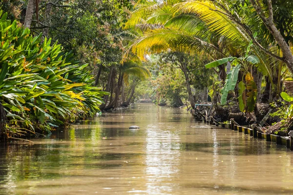 Selva tailandesa — Fotografia de Stock