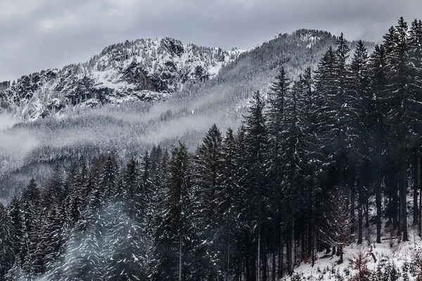 Montagna innevata — Foto Stock