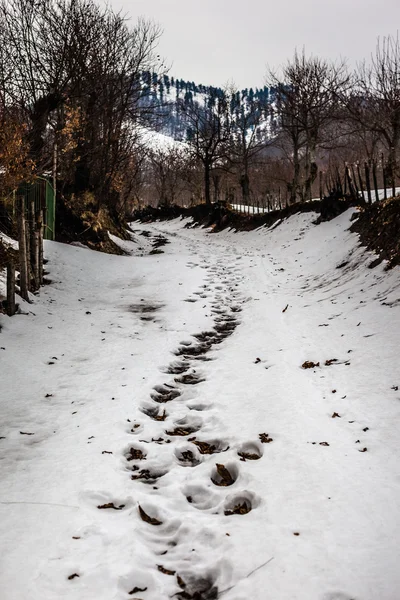 Footsteps in the snow — Stock Photo, Image