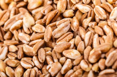 yazıldığından arka plan