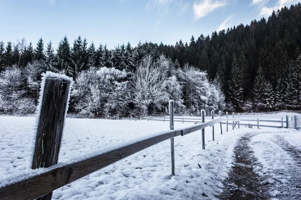 Frozen countryside