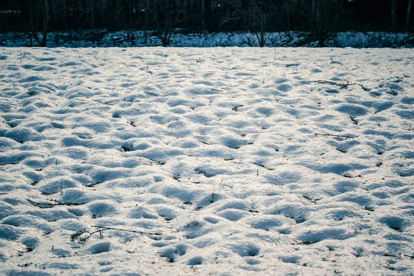 Campo cubierto de nieve —  Fotos de Stock