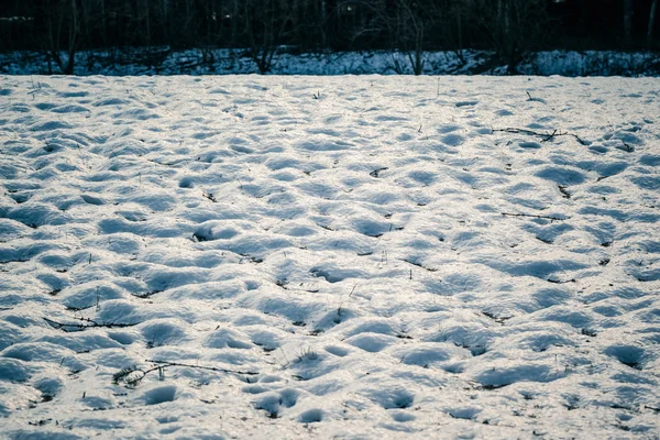 Besneeuwde veld — Stockfoto