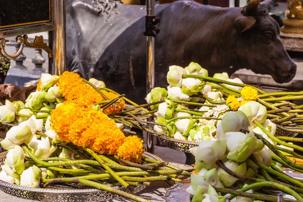 Ofrendas florales — Foto de Stock