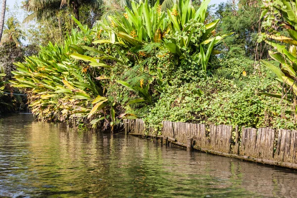 Jungle Canal — Stock Photo, Image