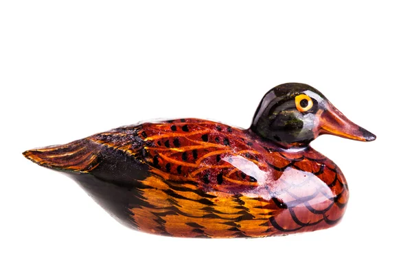 Chinese duck — Stock Photo, Image