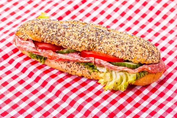 Salami Sub sandwich — Stock Photo, Image
