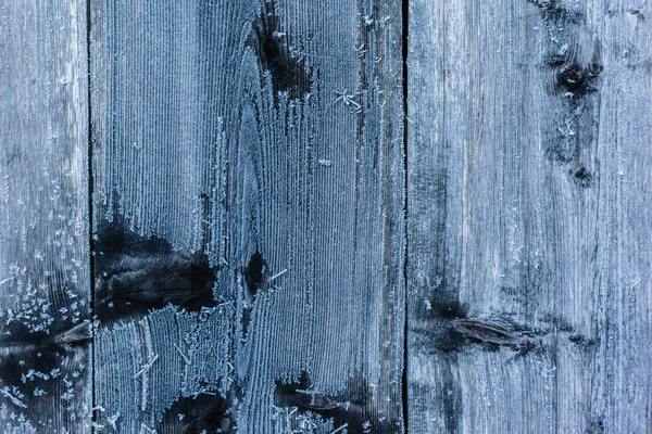 Frozen wood texture — Stock Photo, Image
