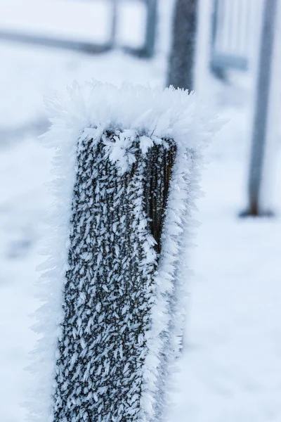 Hoar pole — Stockfoto