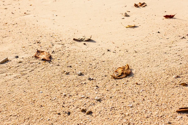 Sand im Detail — Stockfoto