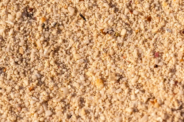 Macro sable — Photo