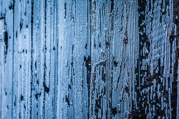 Frozen wooden wall — Stock Photo, Image