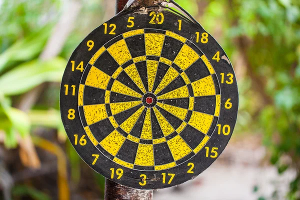 Jungle bullseye — Stockfoto