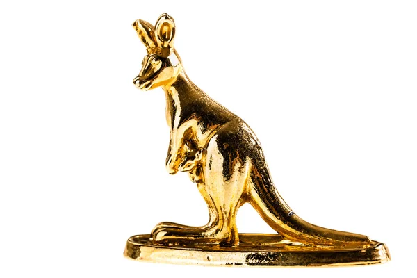 Golden kangaroo — Stock Photo, Image