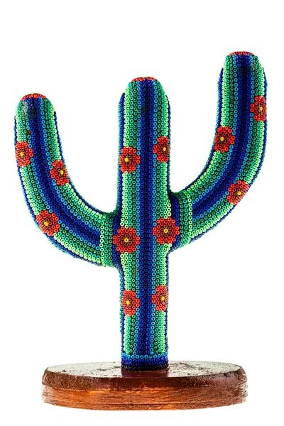 Cactus colorato dal Messico — Foto Stock