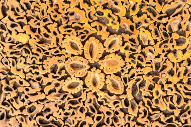 Kakma ahşap karışıklık