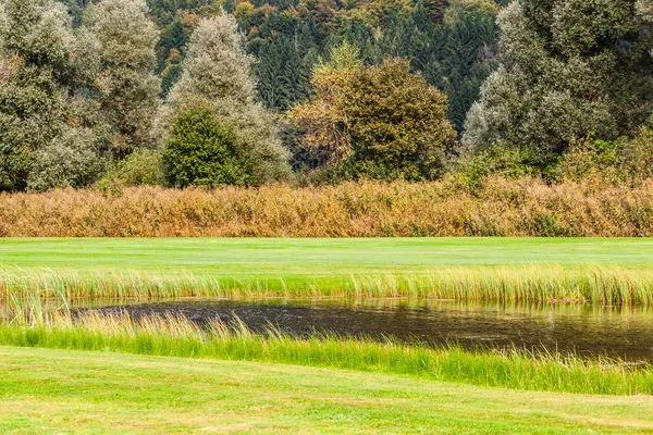 Estanque en el campo de golf — Foto de Stock