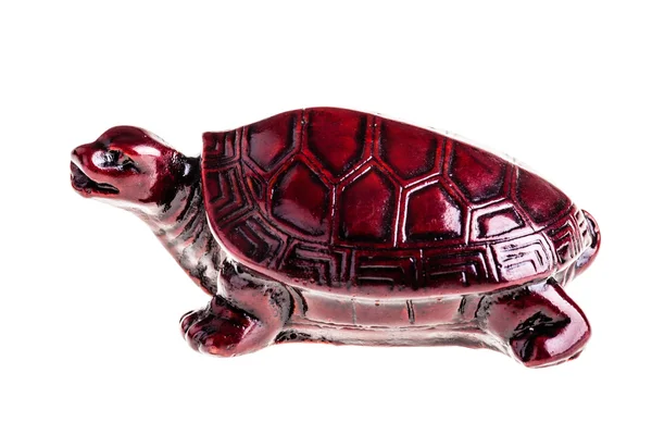 Tortuga china — Foto de Stock