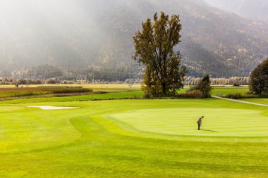 Yeşil koyarak uygulama