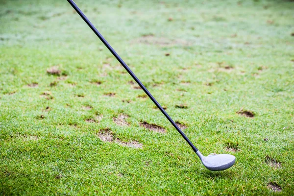 Clube de motorista de golfe — Fotografia de Stock