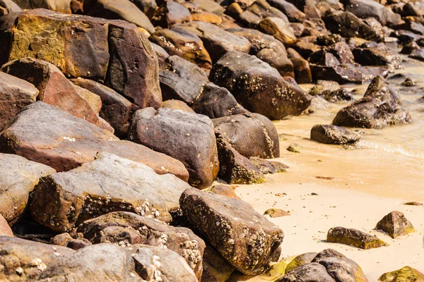 Кам'янистий пляж — стокове фото