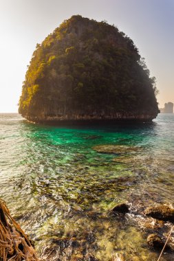 Maya Bay adacık