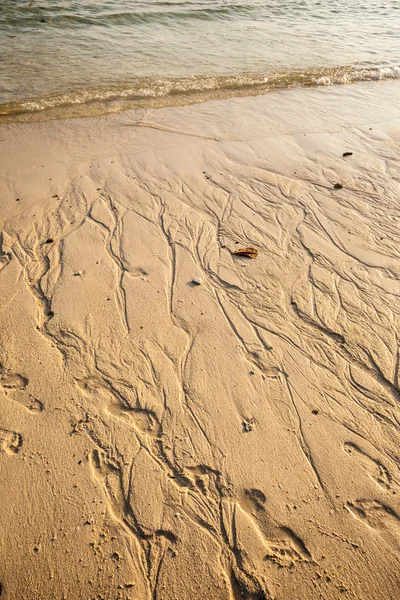 Footprints on the shoreline — Stock Photo, Image