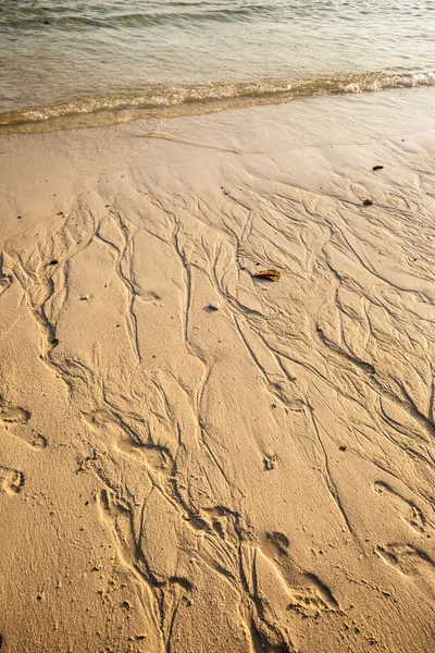 Lábnyomok az Shoreline — Stock Fotó