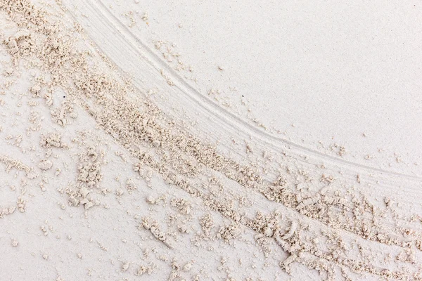 Spuren im Sand — Stockfoto