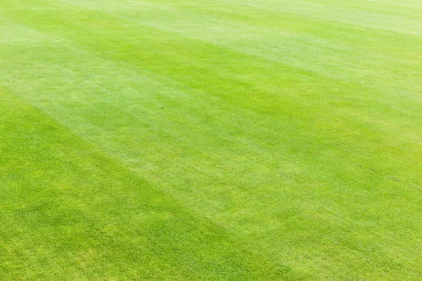 Sportplatz — Stockfoto