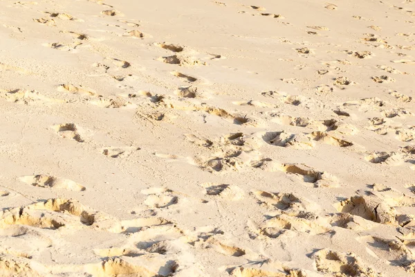 Fotspår på stranden — Stockfoto