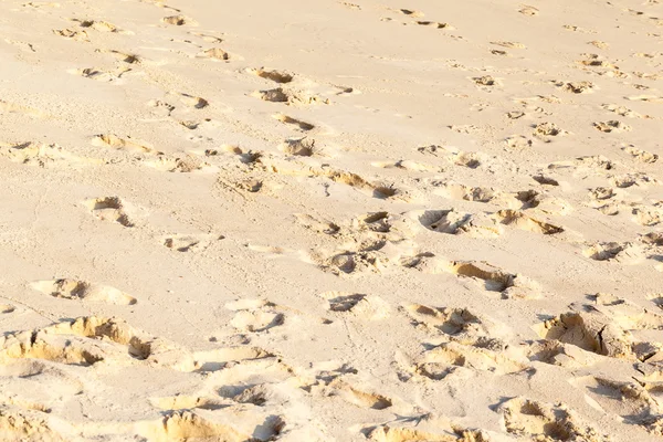 Huellas en la playa — Foto de Stock