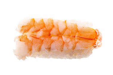Shrimp nigiri sushi top clipart