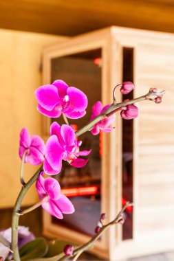 Orchid and sauna clipart