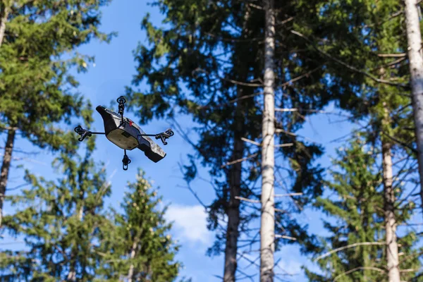 Drone de escoteiro na floresta — Fotografia de Stock