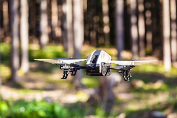 Drone en la naturaleza — Foto de Stock