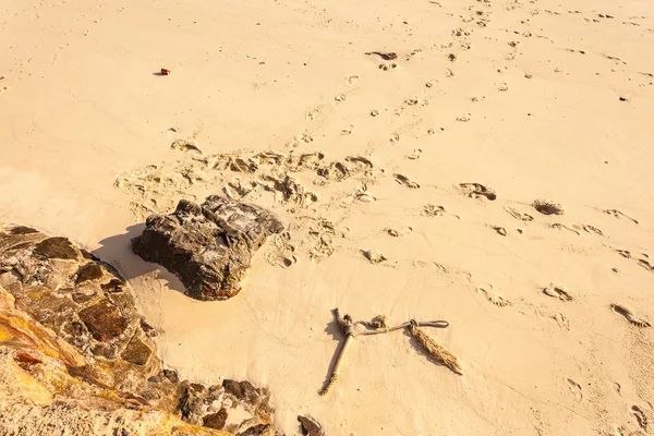 Spår i sanden — Stockfoto