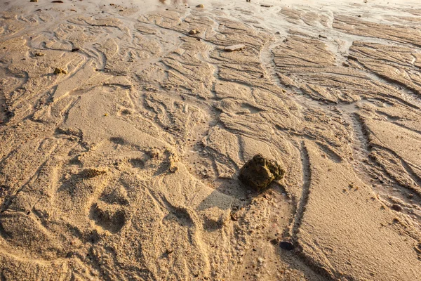 Tropisk strandlinje — Stockfoto