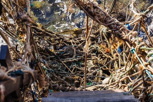 Tangled ropes — Stock Photo, Image