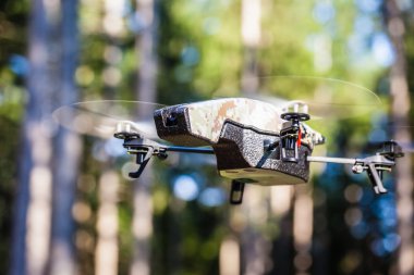 Vahşi doğada casus uçak