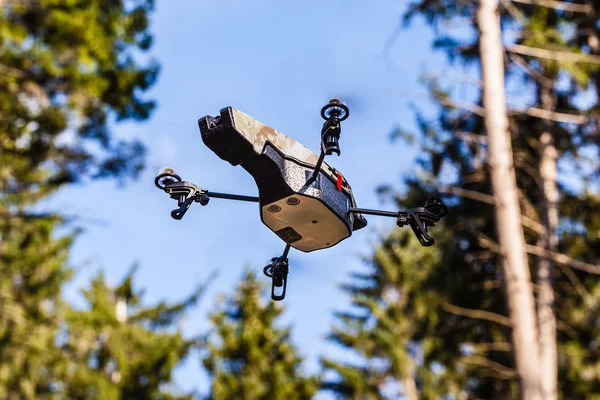 Cserkész drone a vad — Stock Fotó
