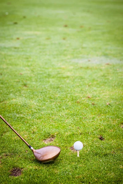 A driver club and a golf ball on the field — 스톡 사진