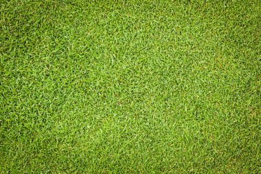 Golf yeşil zemin