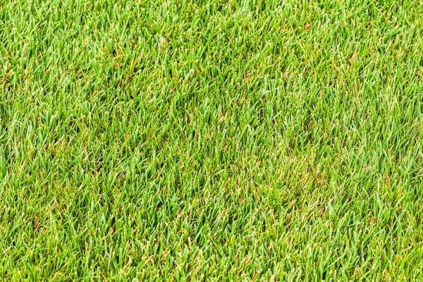 Idyllic country Grassland — Stock Photo, Image