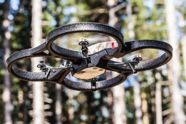 Drone flying through trees