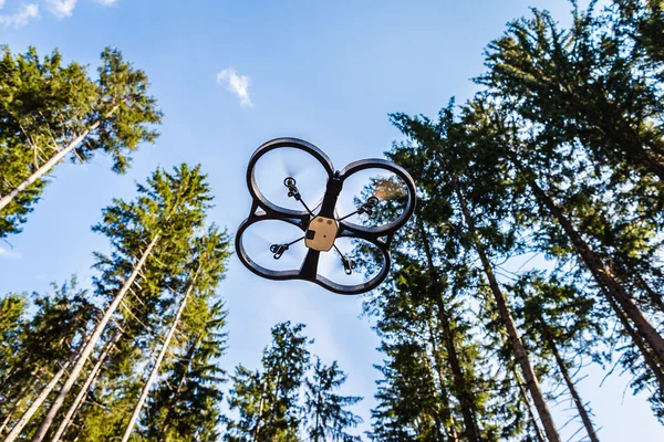 Drone de escoteiro na floresta — Fotografia de Stock