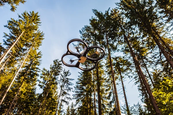 Drone és a fák — Stock Fotó