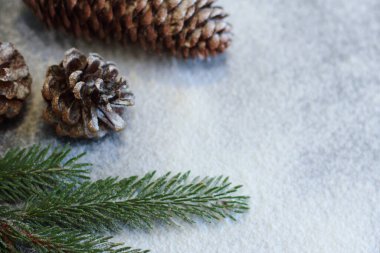 Noel ve Yeni Yıl Dekorasyonu, kürk ağacı ve karlı çam kozalağı, şenlikli daire 2021 