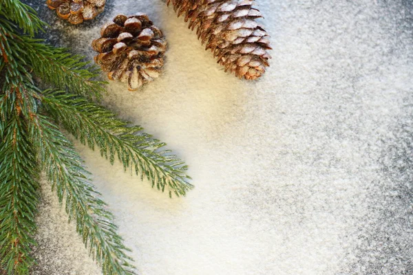 Christmas New Year Winter Decoration Fur Tree Pine Cone Snow — Stock Photo, Image